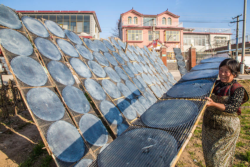 見(jiàn)過(guò)傳統(tǒng)技法做粉皮嗎？隨鏡頭走進(jìn)豫東農(nóng)村看看吧