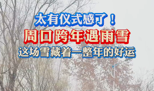 太有儀式感了！周口跨年遇雨雪 這場雪藏著一整年的好運